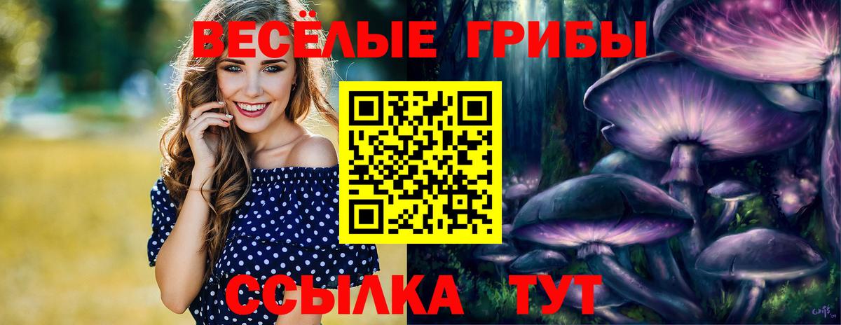 Псилоцибиновые грибы MAGIC MUSHROOMS  Псилоцибиновые грибы мухоморы  Вход с VPN  Строитель 