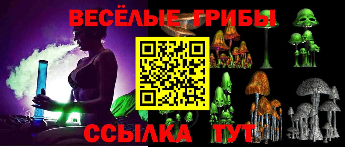 Псилоцибиновые грибы Psilocybe Строитель